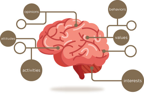 Psychographic Segmentation