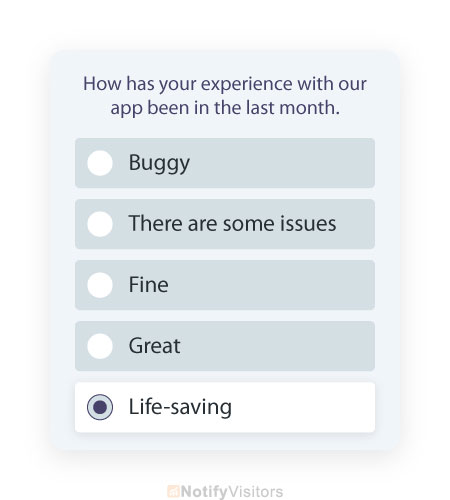 Customer-Success-In-App-Survey-Questions