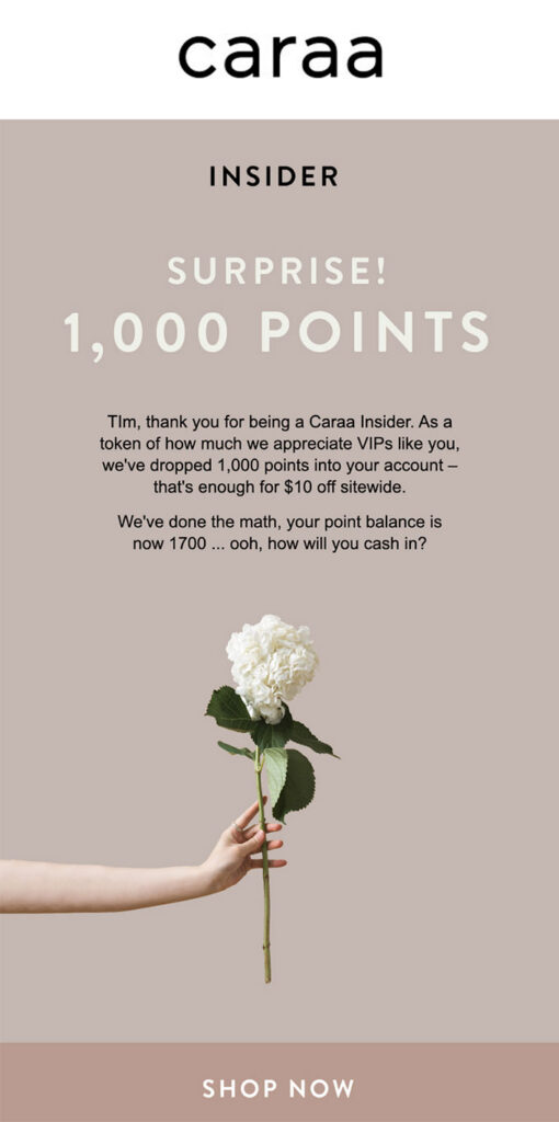 Loyalty Program Emails